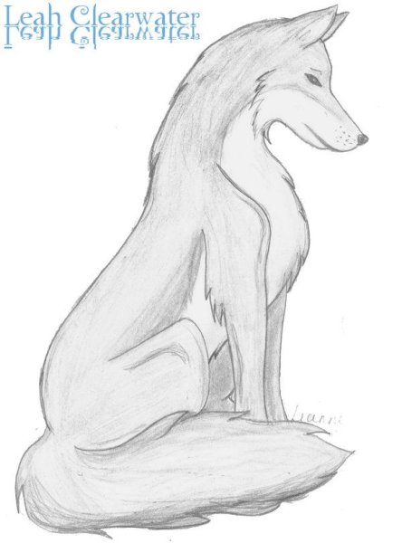 Рисунки карандашом грустные волки