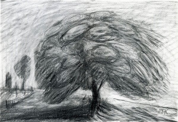 Дерево на ветру рисунок