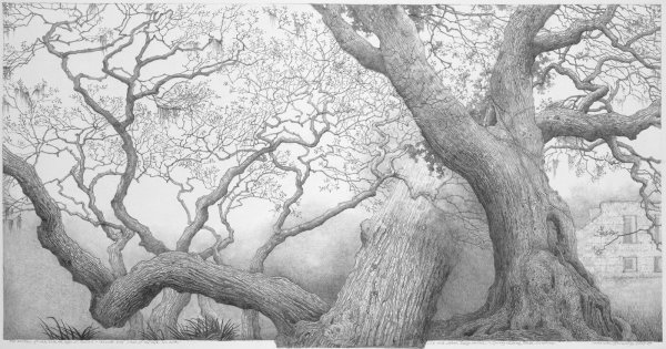 Штриховка дерева