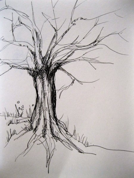 Скетчинг деревья