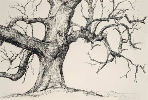 Мрачное дерево рисунок карандашом