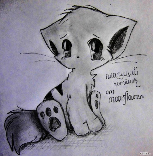Аниме котики карандашом