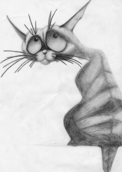 Забавные коты карандашом