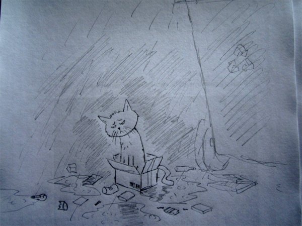 Одинокий кот рисунок