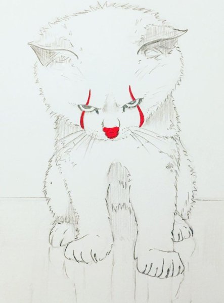 Кота рисунок срисовки сложные и красивые милые