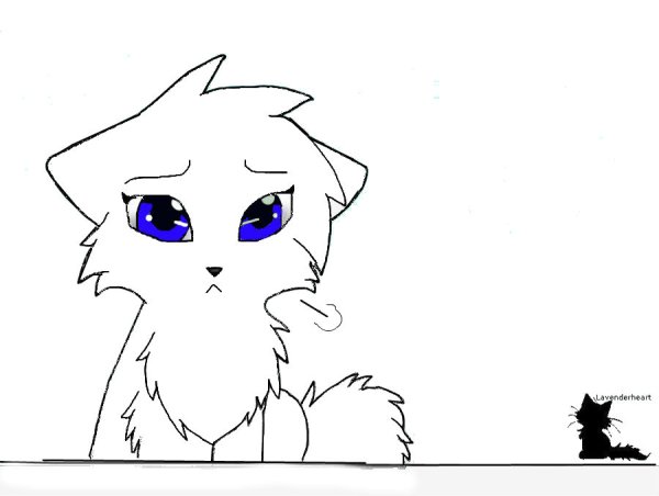 Грустные лайны котов