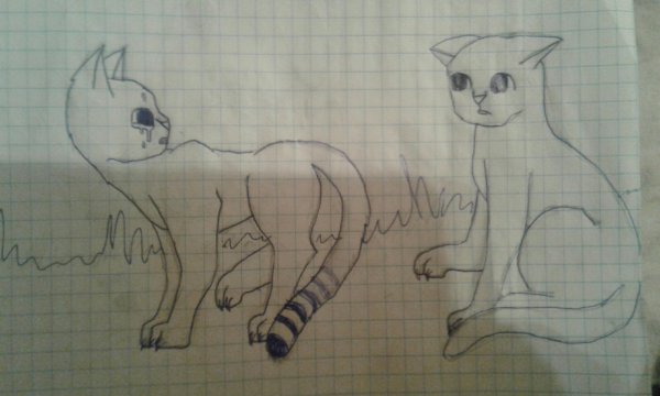 Картинки для срисовки