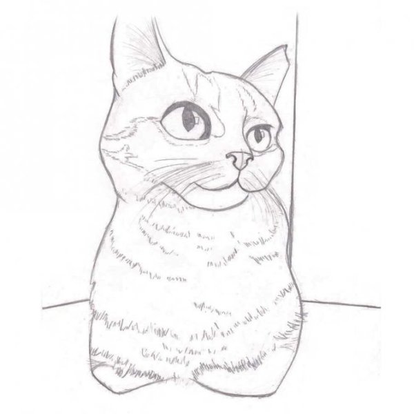 Кот рисунок карандашом для срисовки