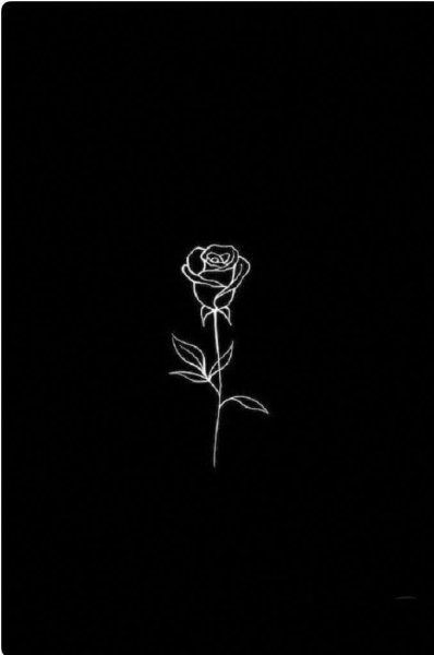 Нарисованная роза на черном фоне
