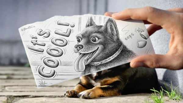 Креативные иллюстрации животных