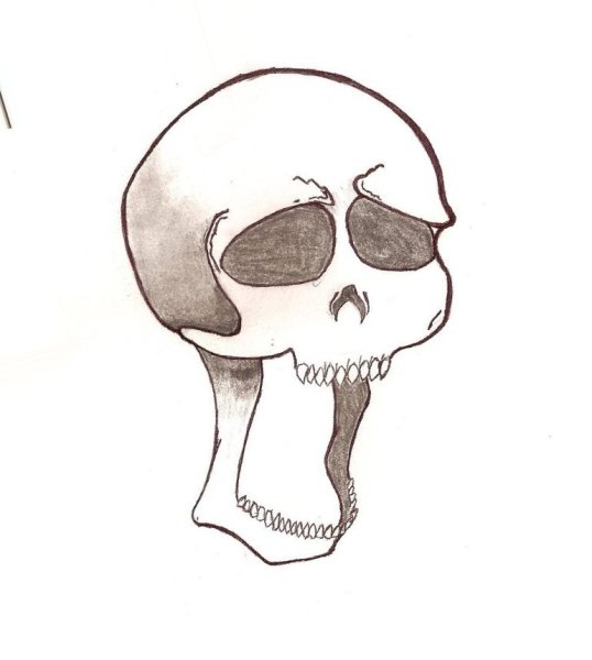 Щенки для срисовки