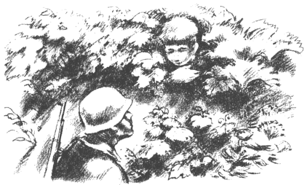 У классной доски иллюстрации