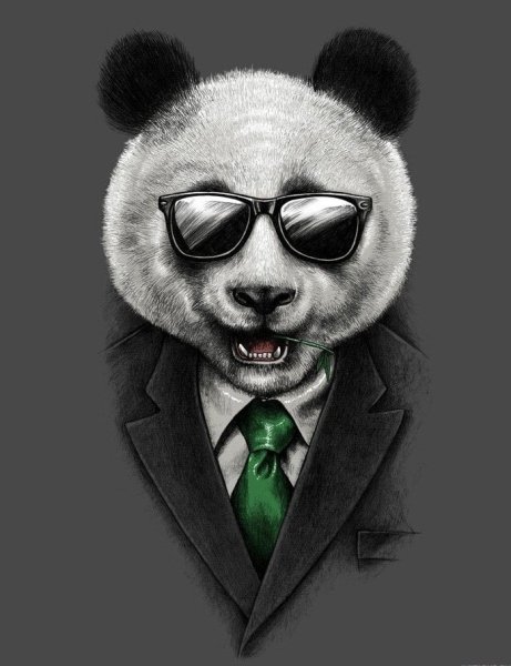 Крутая Панда в очках