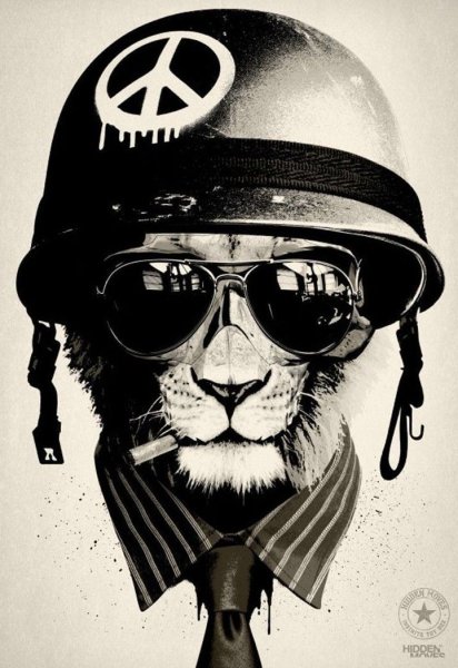 Лев в каске