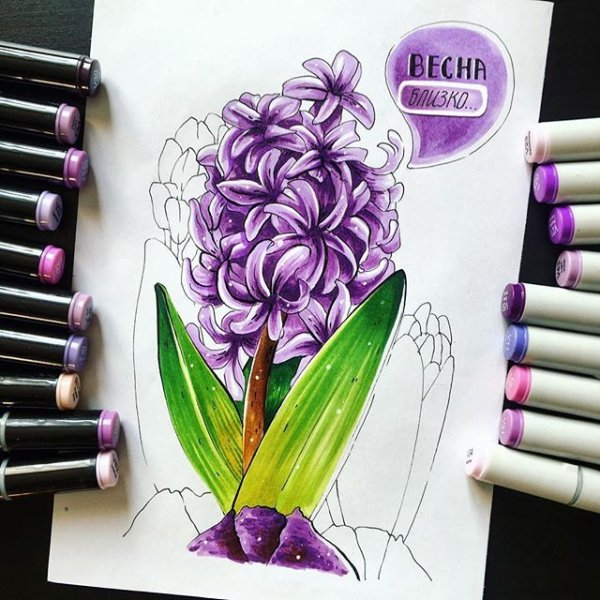 Цветы скетч маркерами