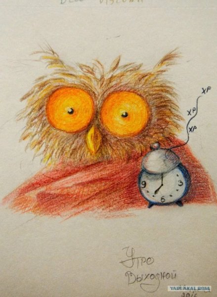 Смешная Сова рисунок