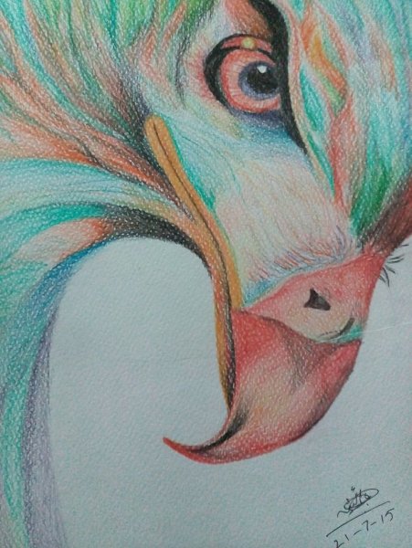 Шикарные рисунки цветными карандашами