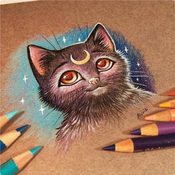 Alvia Alcedo кошки