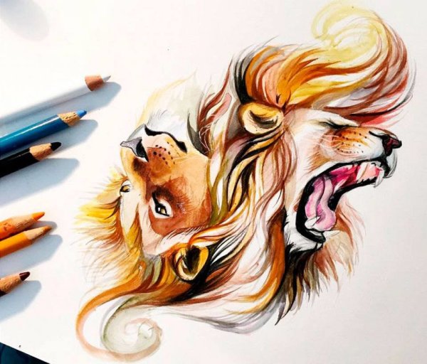 Арт цветными карандашами