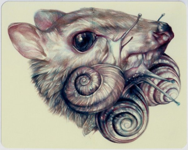 Карандаши цветные "животные"