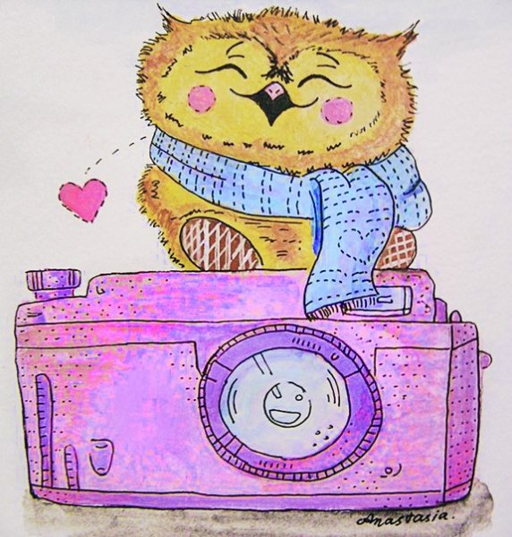 Милые иллюстрации с фотоаппаратом