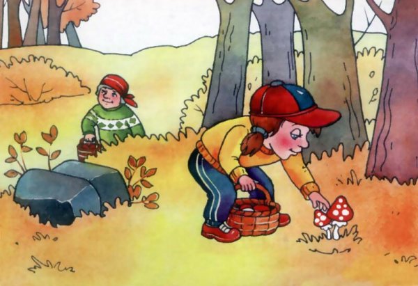 Опасные ситуации в лесу