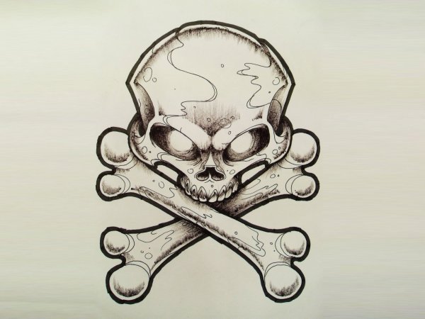 Череп рисунок