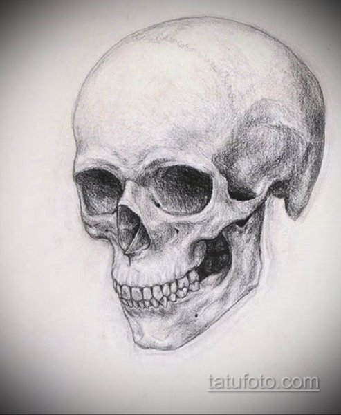 Черепок карандашом