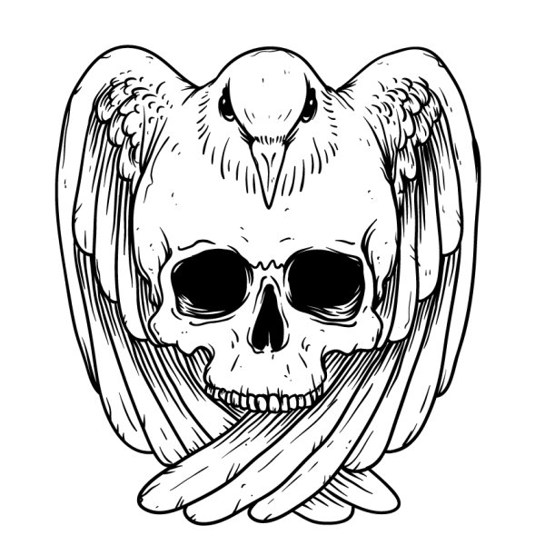Красивый череп эскиз