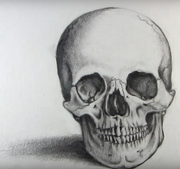 Череп рисунок карандашом