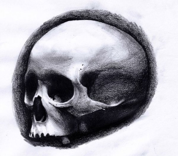 Тату череп легкий