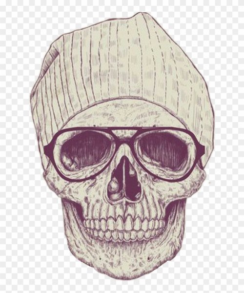 Зарисовки черепа