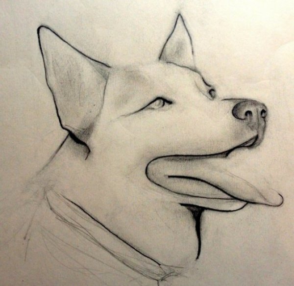 Рисуночки легкие