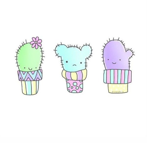 идеи про кактусы