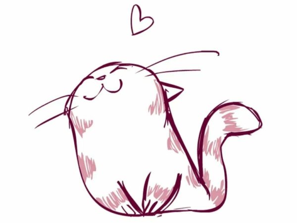 котик улыбается