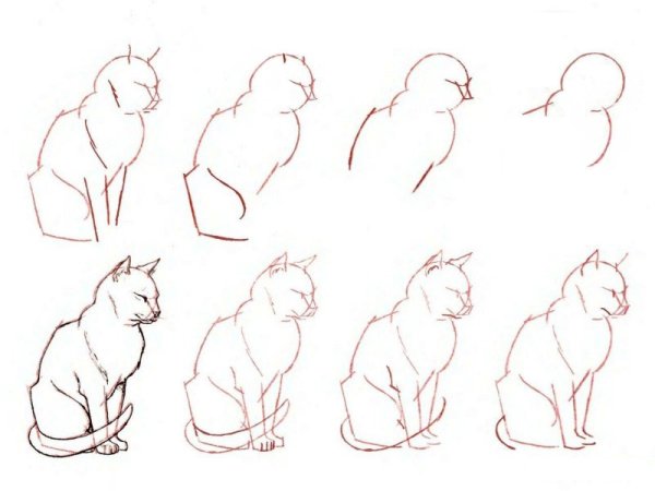 Красивые рисунки пошагово