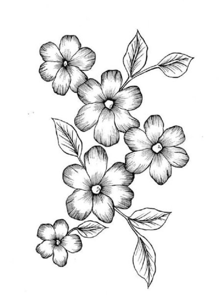 Цветок эскиз простой