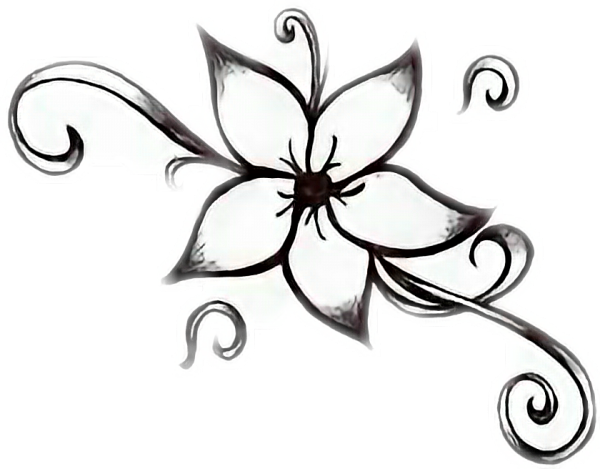 Цветы для срисовки лёгкие