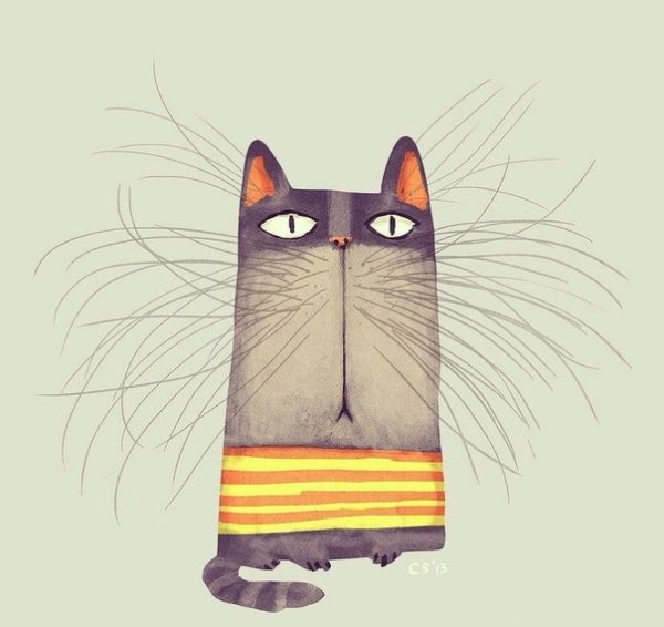 Котик иллюстрация