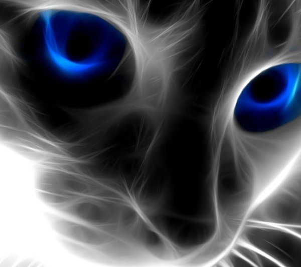 Алмазная живопись кошачий взгляд