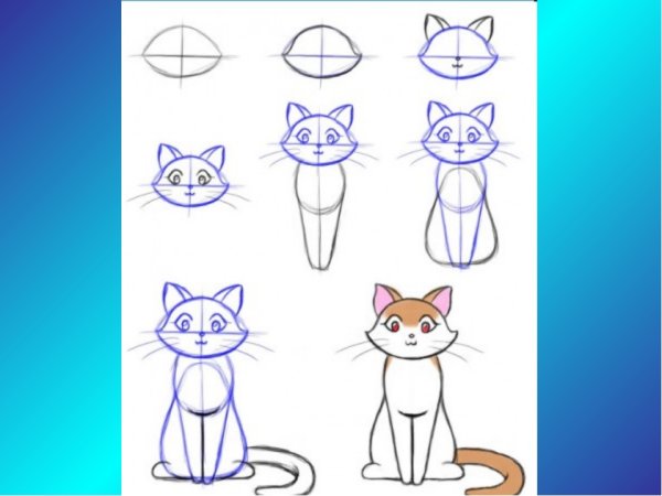 Лёгкие рисунки для срисовки кошки