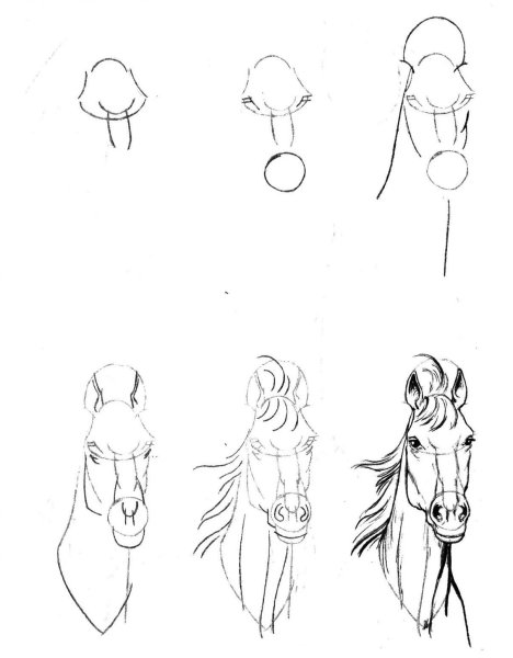 Уроки рисования карандашом