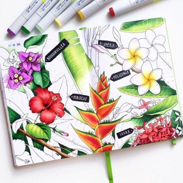 Цветы для рисования маркерами для скетчинга