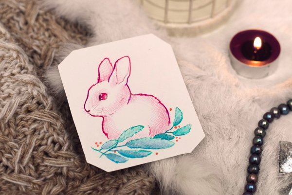 Милые животные для скетчбука