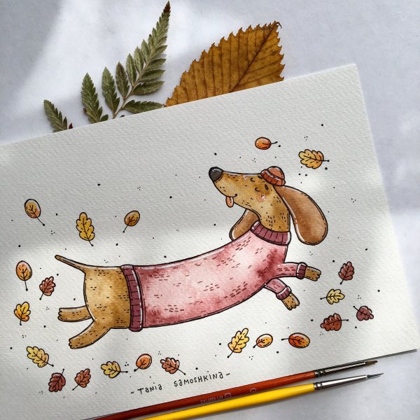 Таня Самошкина иллюстратор
