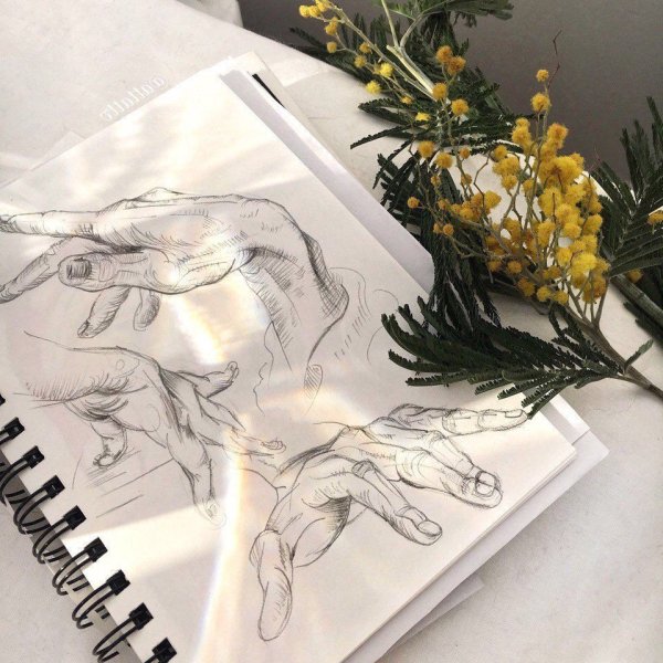 Рисование Эстетика художественная