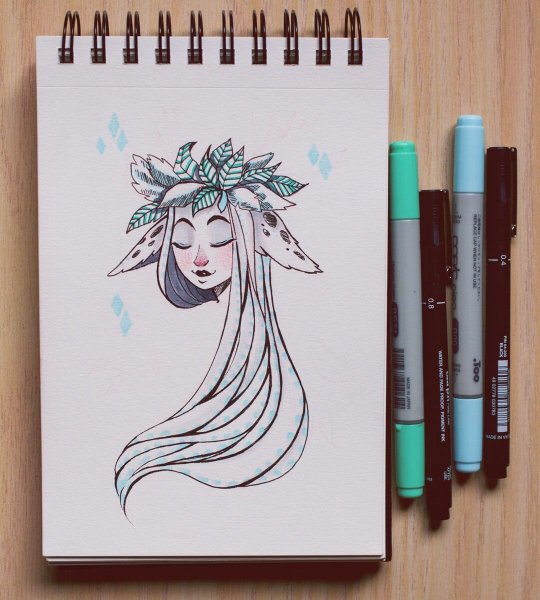 Рисунки для Скейтс бука