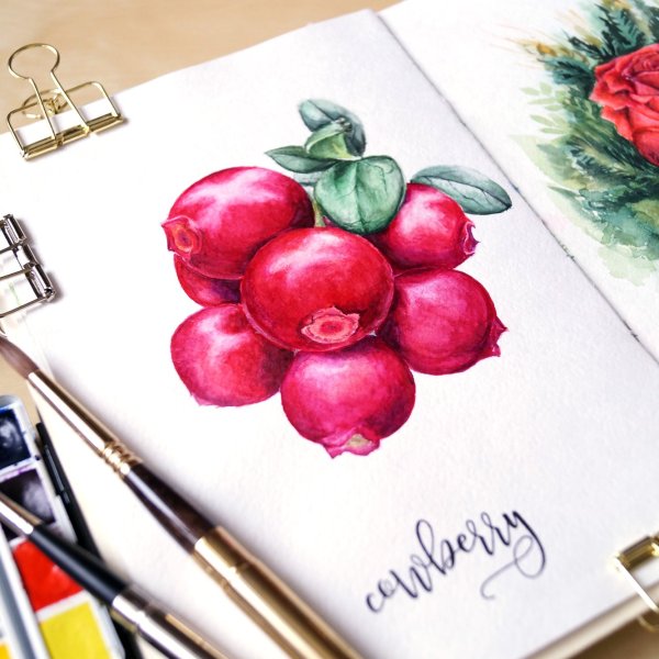 Рисунки авкварелью в скетчбук