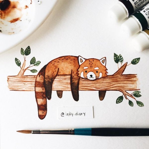 Рисунки для скечбукаживотные