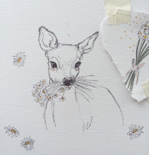 Зарисовки для скетчбука животные